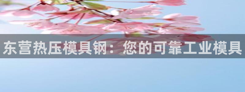 易倍易倍单词官方网站：东营热压模具钢：您的可靠工业模具