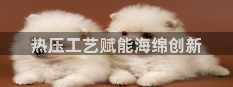 易倍网络技术有限公司是干嘛的：热压工艺赋能海绵创新