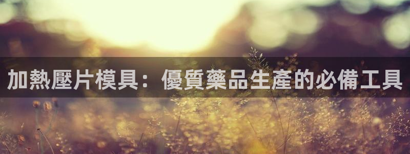 emc易倍官网app官网：加熱壓片模具：優質藥品生產的必