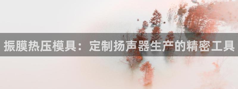杭州易倍达上班怎么样：振膜热压模具：定制扬声器生产的精密