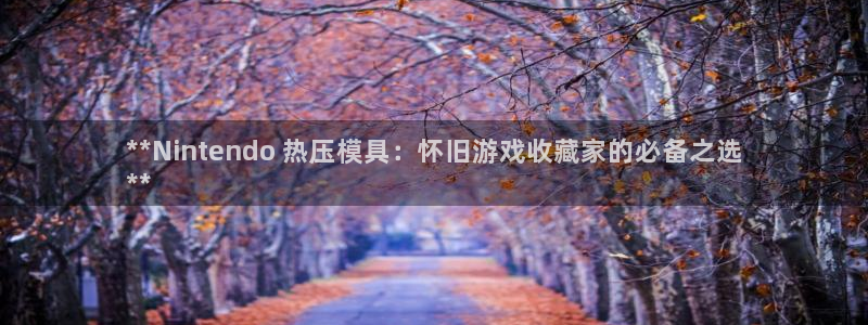 emc易倍平台：**Nintendo 热压模具：怀旧游戏