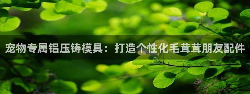 易倍单词app：宠物专属铝压铸模具：打造个性化毛茸茸朋友