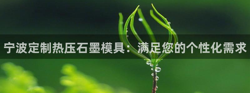 易倍纤代餐奶昔减肥效果怎么样：宁波定制热压石墨模具：满足