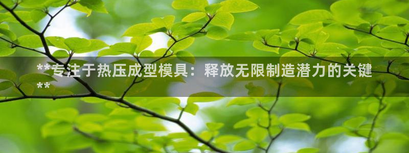 EMC易倍让身份验证：**专注于热压成型模具：释放无限制