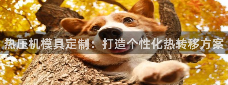 emc易倍的服务优势：热压机模具定制：打造个性化热转移方